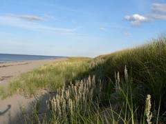 Ein Teil des viele km langen Strandes von Cape Lumiere, New Brunswick