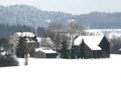 Moosing im Schnee.